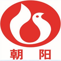 朝陽泵業(yè)QZ軸流、QH混流潛水電泵